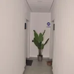 Valinor Boliches Apartment *