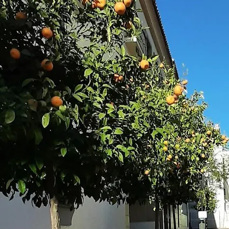 Lejlighed Valinor Boliches Fuengirola