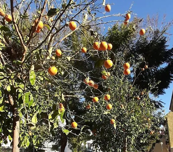 Valinor Boliches Fuengirola