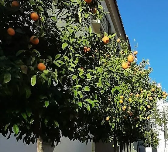 Appartamento Valinor Boliches Fuengirola