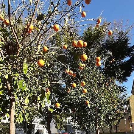 Valinor Boliches Fuengirola